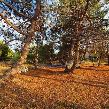 Apartmani Bellevue Vir Bagian luar foto