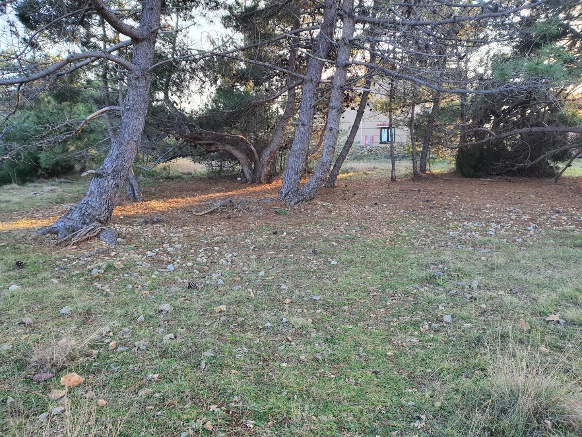 Apartmani Bellevue Vir Bagian luar foto