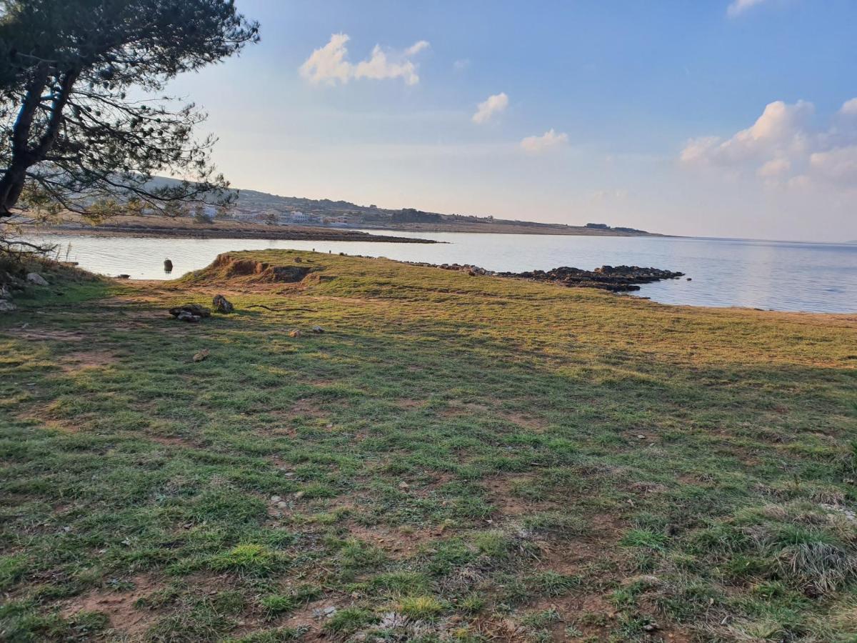 Apartmani Bellevue Vir Bagian luar foto