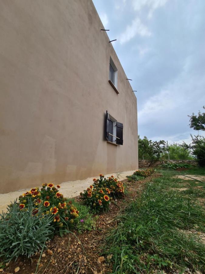 Apartmani Bellevue Vir Bagian luar foto