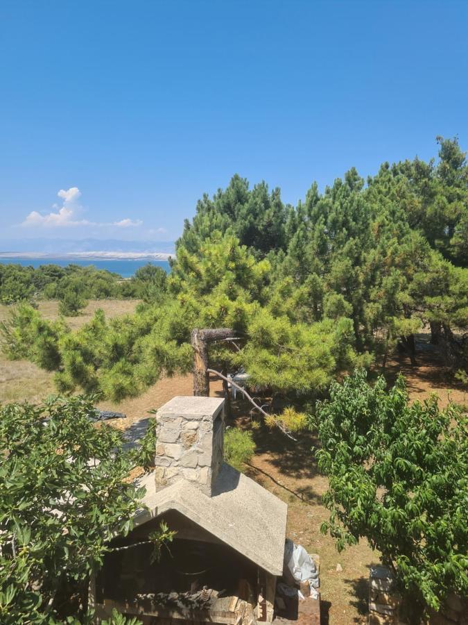 Apartmani Bellevue Vir Bagian luar foto