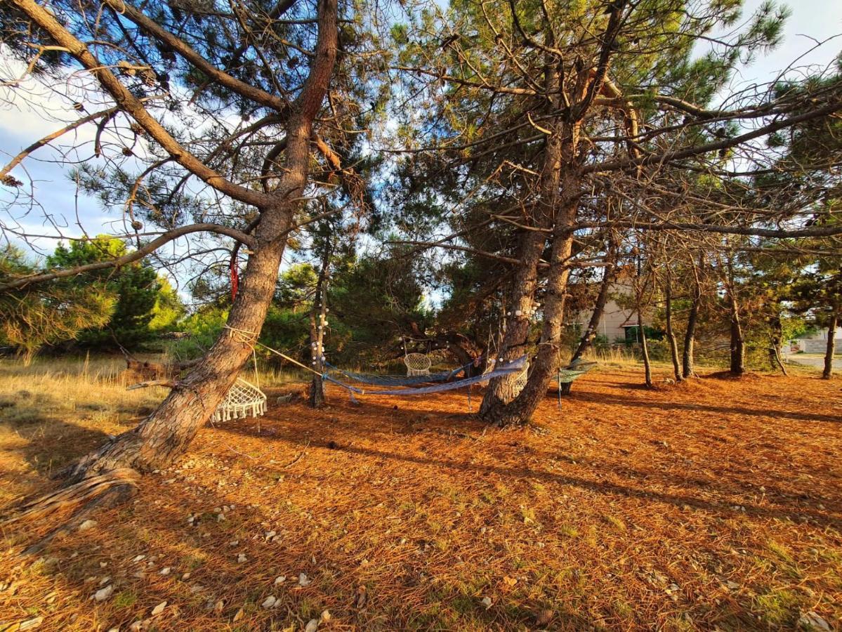 Apartmani Bellevue Vir Bagian luar foto